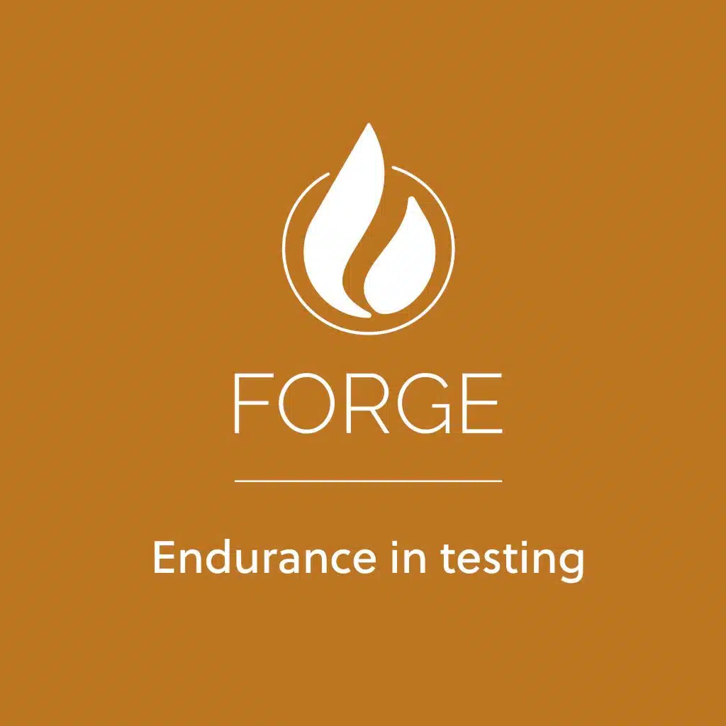 James 1 Endurance in Testing