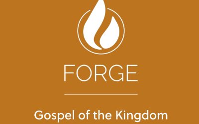 Kingdom of God 2: Gospel of the Kingdom