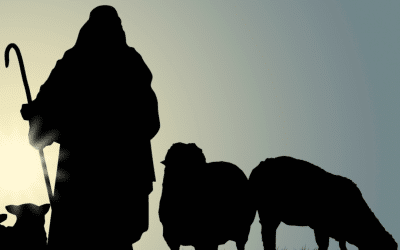 The Good Shepherd; The Lost Sheep