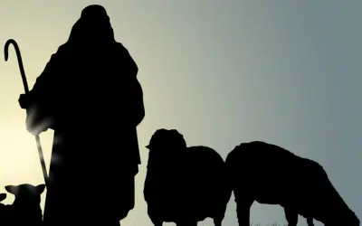 The Good Shepherd; The Lost Sheep