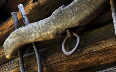 Come to Me