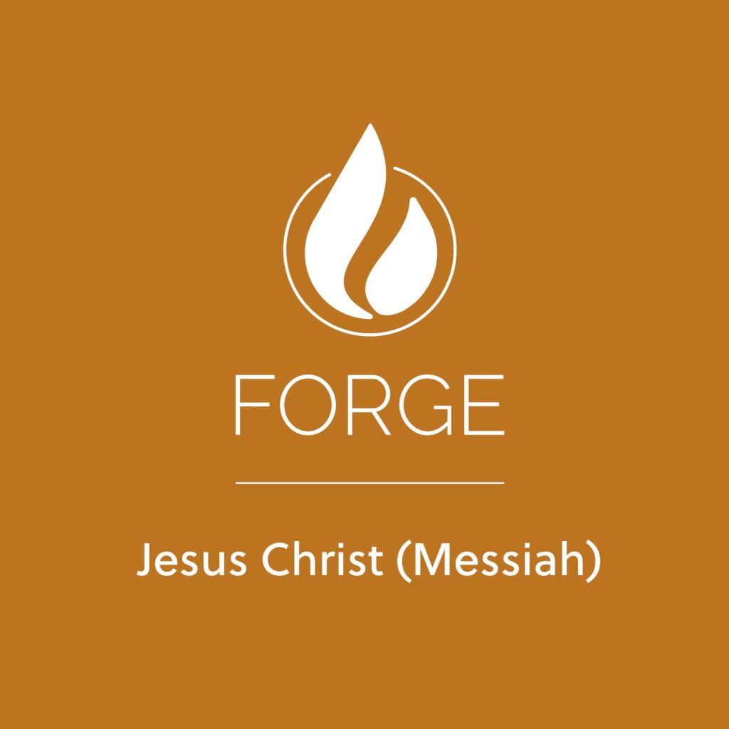 Jesus Christ (Messiah)