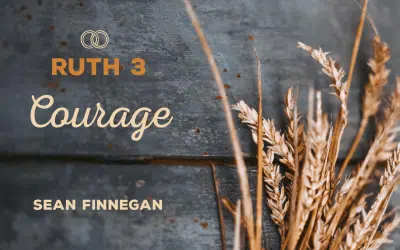 Ruth 3 Courage