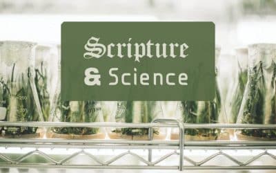 Scripture and Science