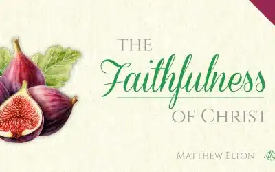 Fruit of the Spirit in Christ 5: The Faithfulness of Christ