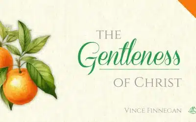 Fruit of the Spirit in Christ 8: The Gentleness of Christ