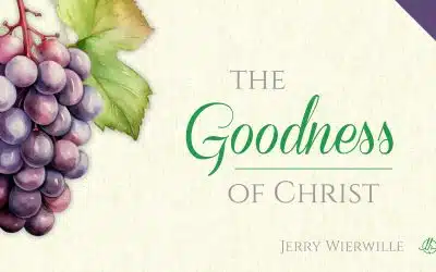 Fruit of the Spirit in Christ 6: The Goodness of Christ