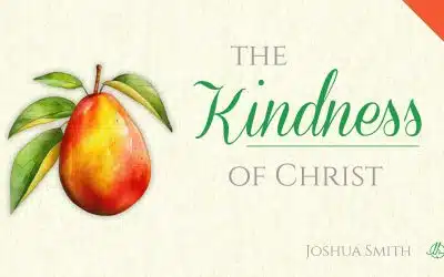 Fruit of the Spirit in Christ 7: The Kindness of God