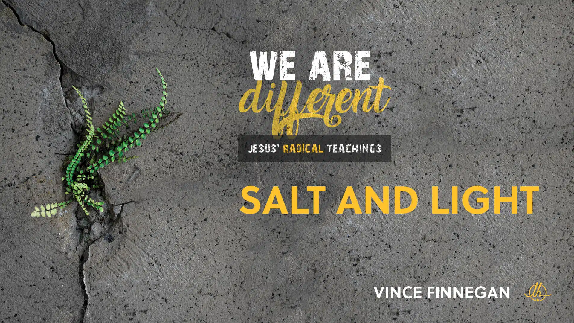 10. Salt and Light