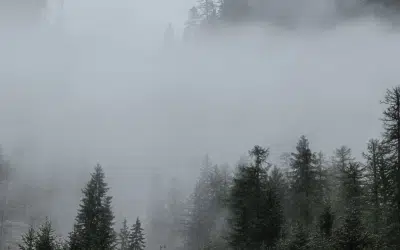 Getting out of the Fog